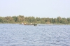 NIEUWKOOP 09-2008 167.JPG